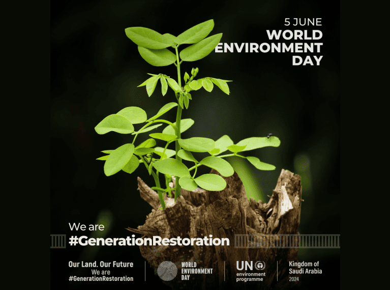 Dia del medi ambient